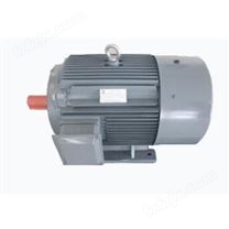 大厂品质   YT-200L-1000/22KW定制永磁同步电机