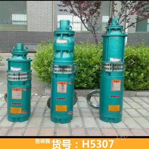 家用潜水泵 高压潜水泵 轴流潜水泵货号H5307