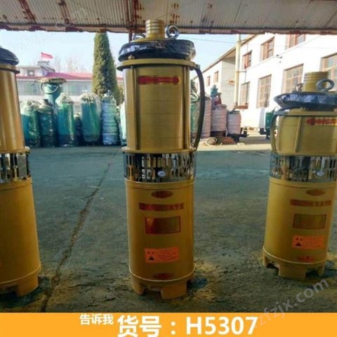家用潜水泵 高压潜水泵 轴流潜水泵货号H5307