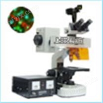 生物荧光显微镜 CFM-100A