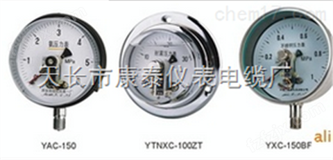 YP-100F1-F膜片压力表/YP-100F厂家