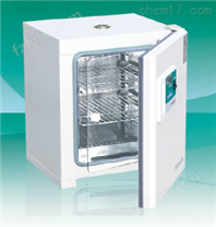 电热恒温培养箱DH4000II/DH4000BII