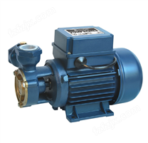 耐用水泵,旋涡泵(DKF2)