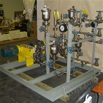 氧还原剂计量泵进口pump