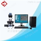 GL002C武汉纤维细度分析仪（纤维直径,纤维含量,纤维异性度,纤维横截面积）